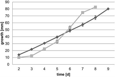 Degradative Capacity of Two Strains of Rhodonia placenta: From Phenotype to Genotype